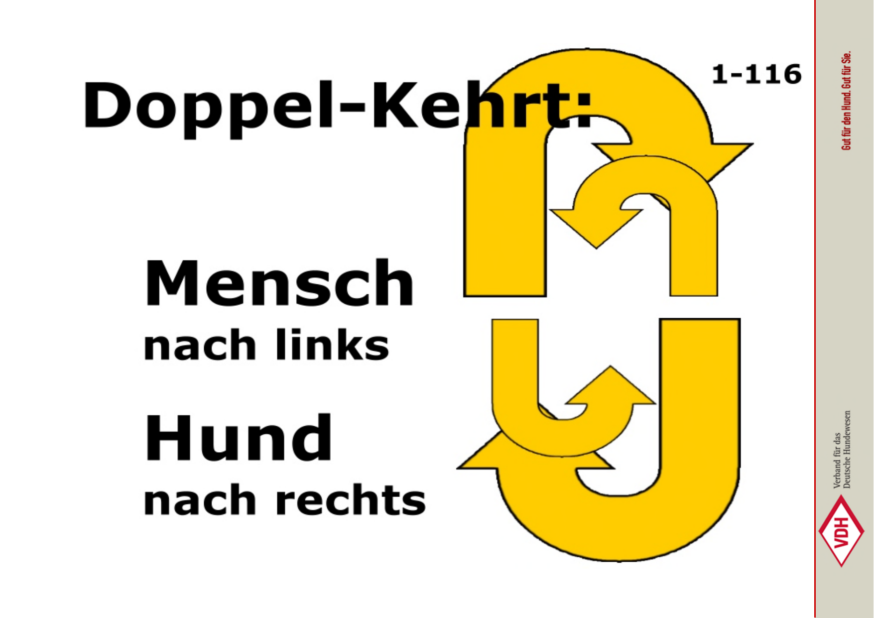 Doppel-Kehrt: Mensch links, Hund rechts
