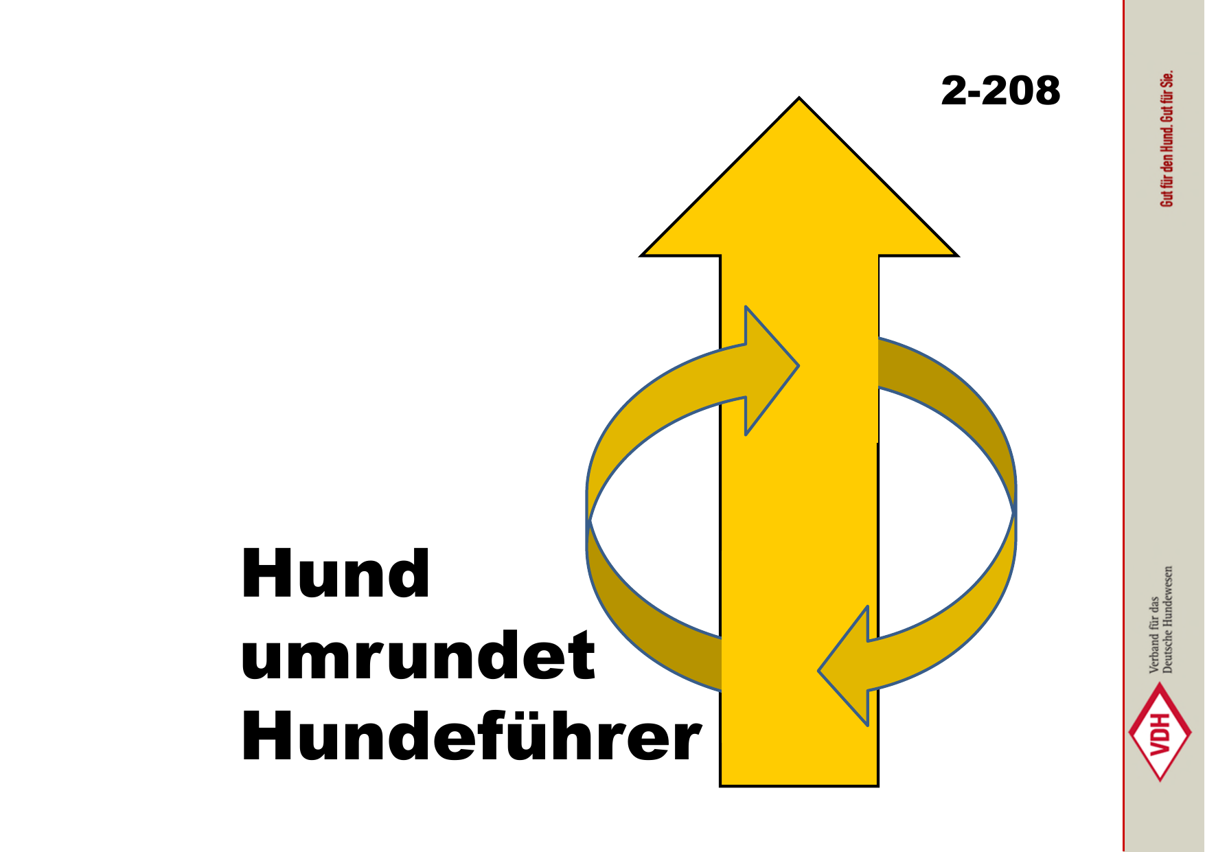 Hund umrundet Hundeführer (in Bewegung)