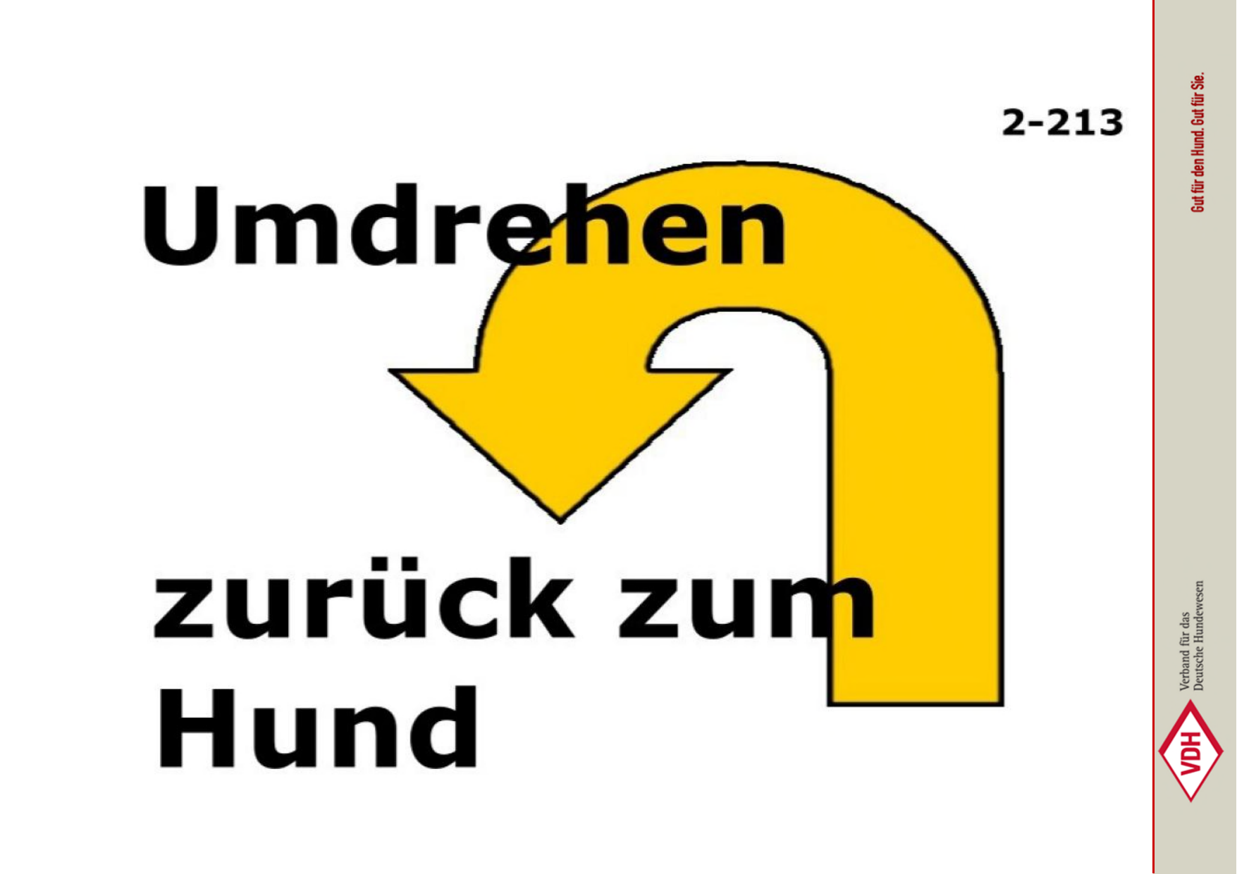 Umdrehen zurück zum Hund