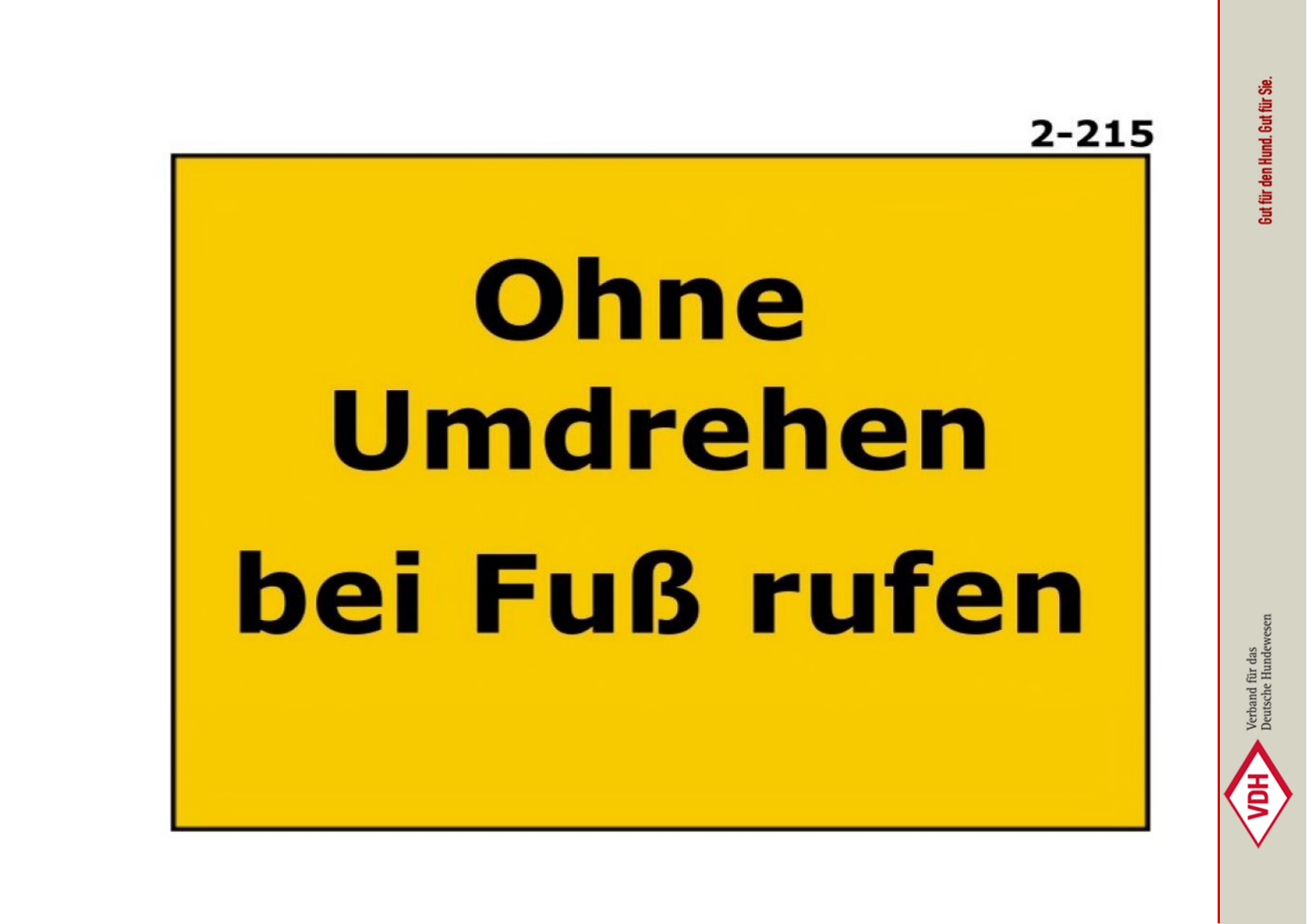 Ohne Umdrehen bei Fuß rufen