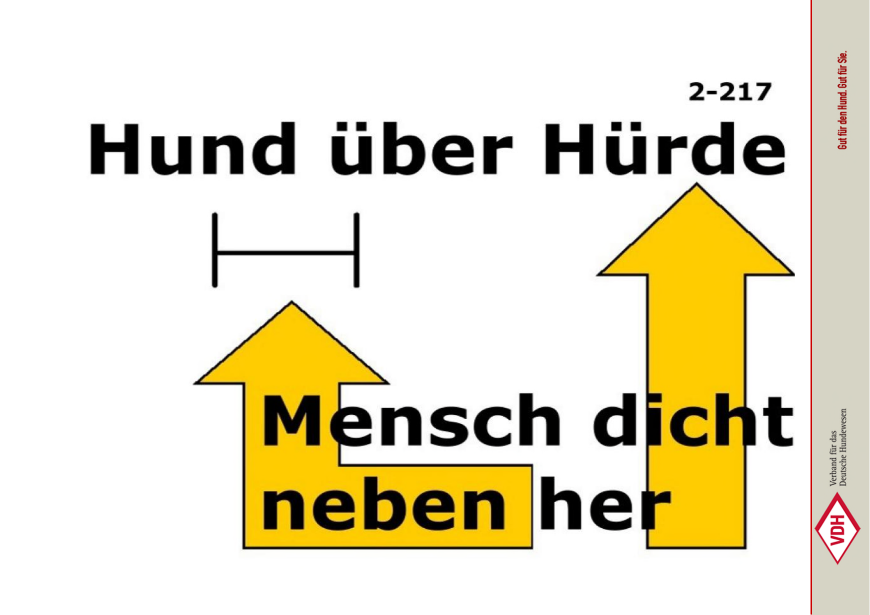 Hund über Hürde, Mensch dicht daneben
