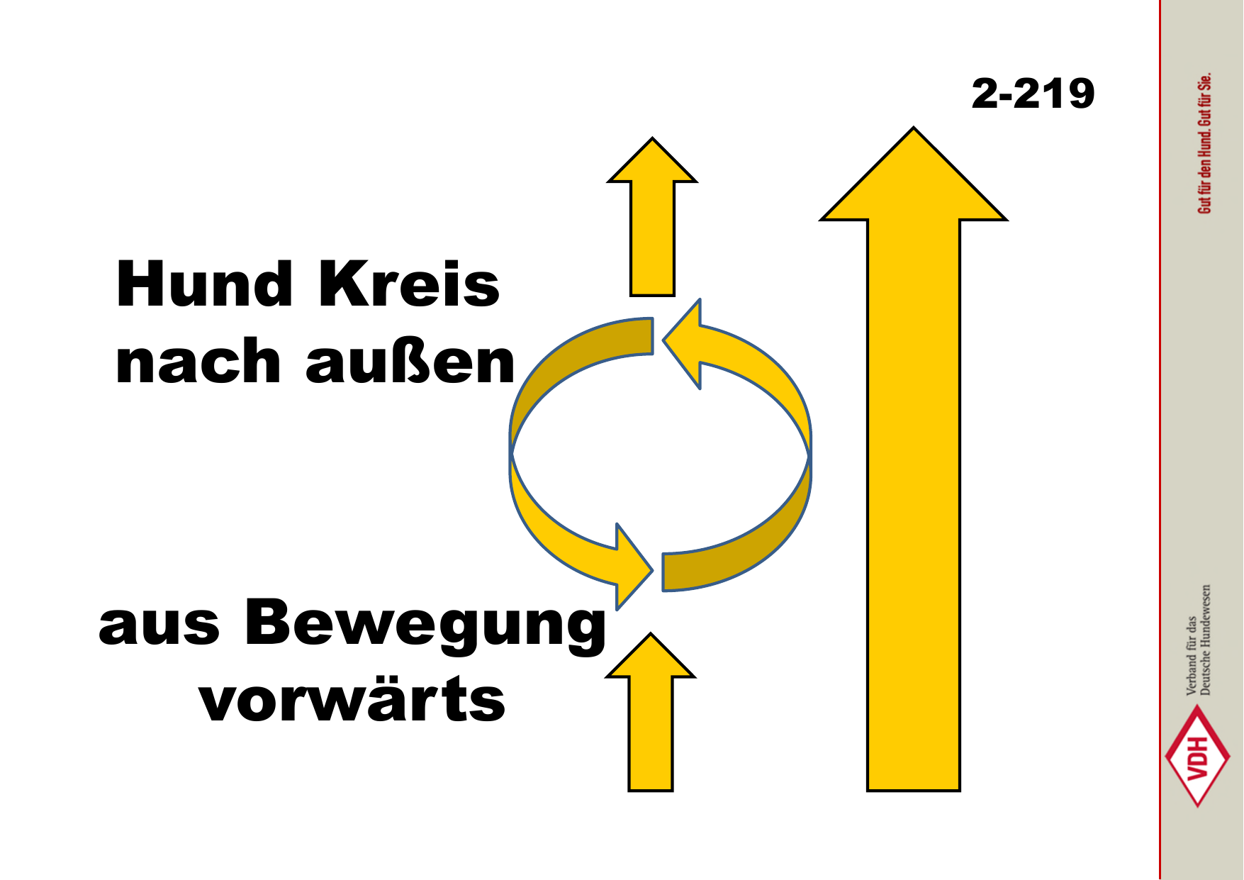 Hund Kreis nach außen aus Bewegung vorwärts