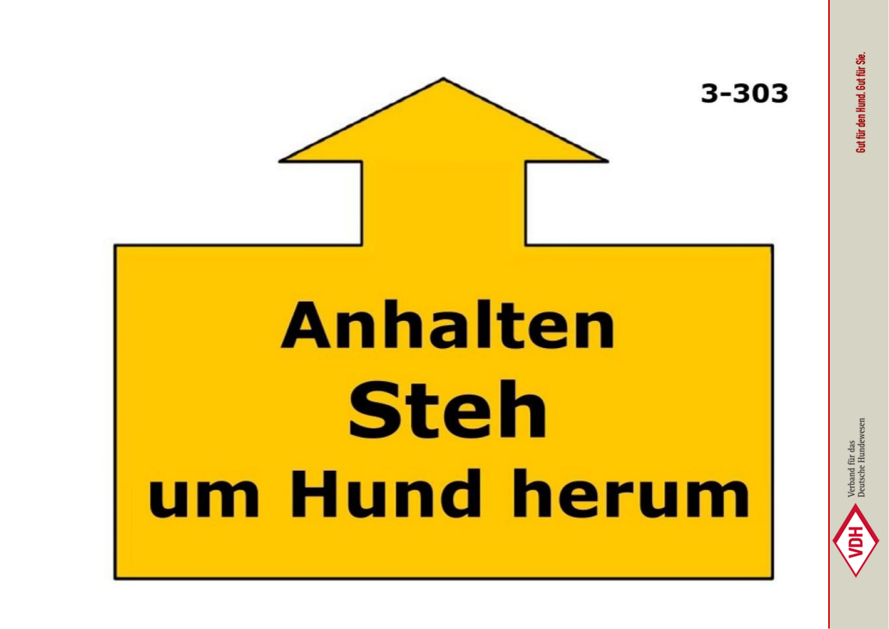 Anhalten Steh um Hund herum