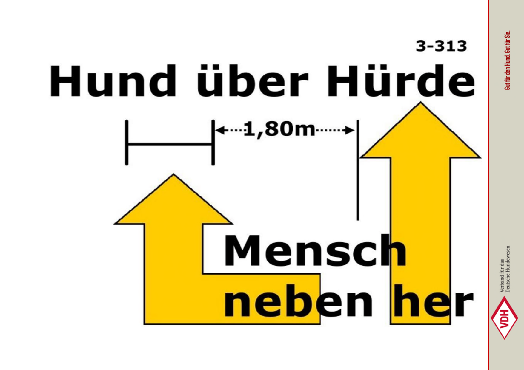 Hund über Hürde (1,80m), Mensch neben her