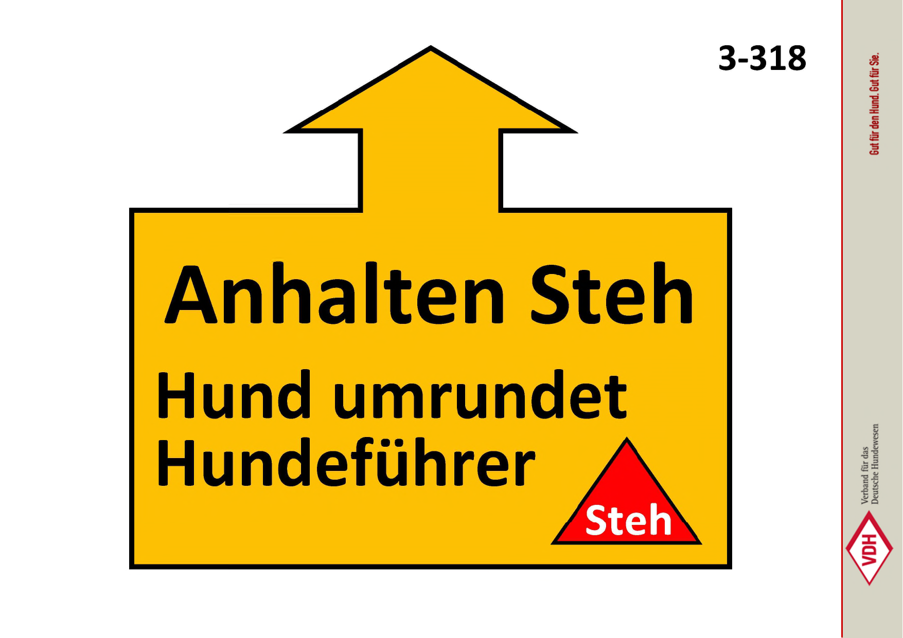 Anhalten Steh – Hund umrundet HF – Steh