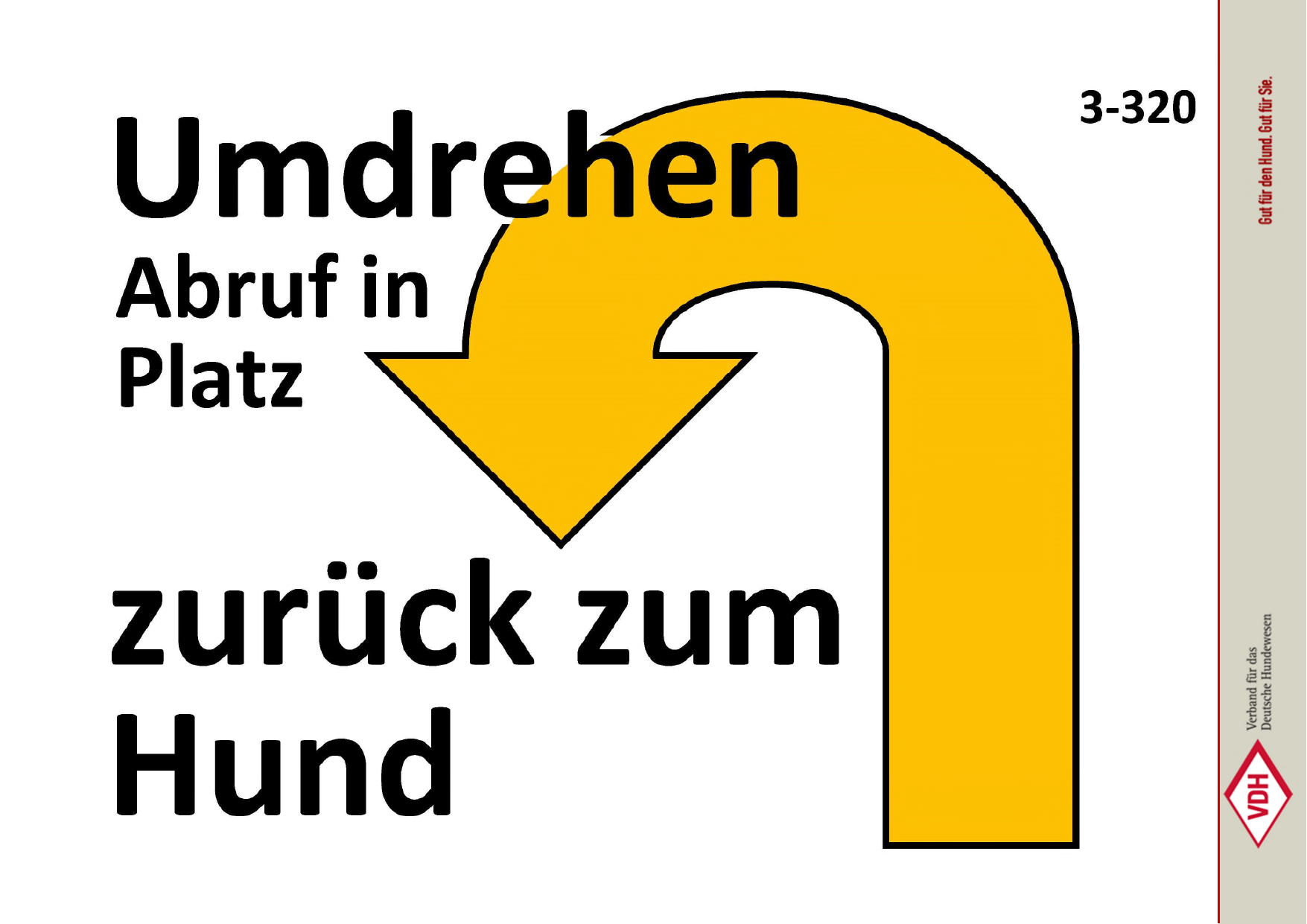 Umdrehen Abruf in Platz – zurück zum Hund