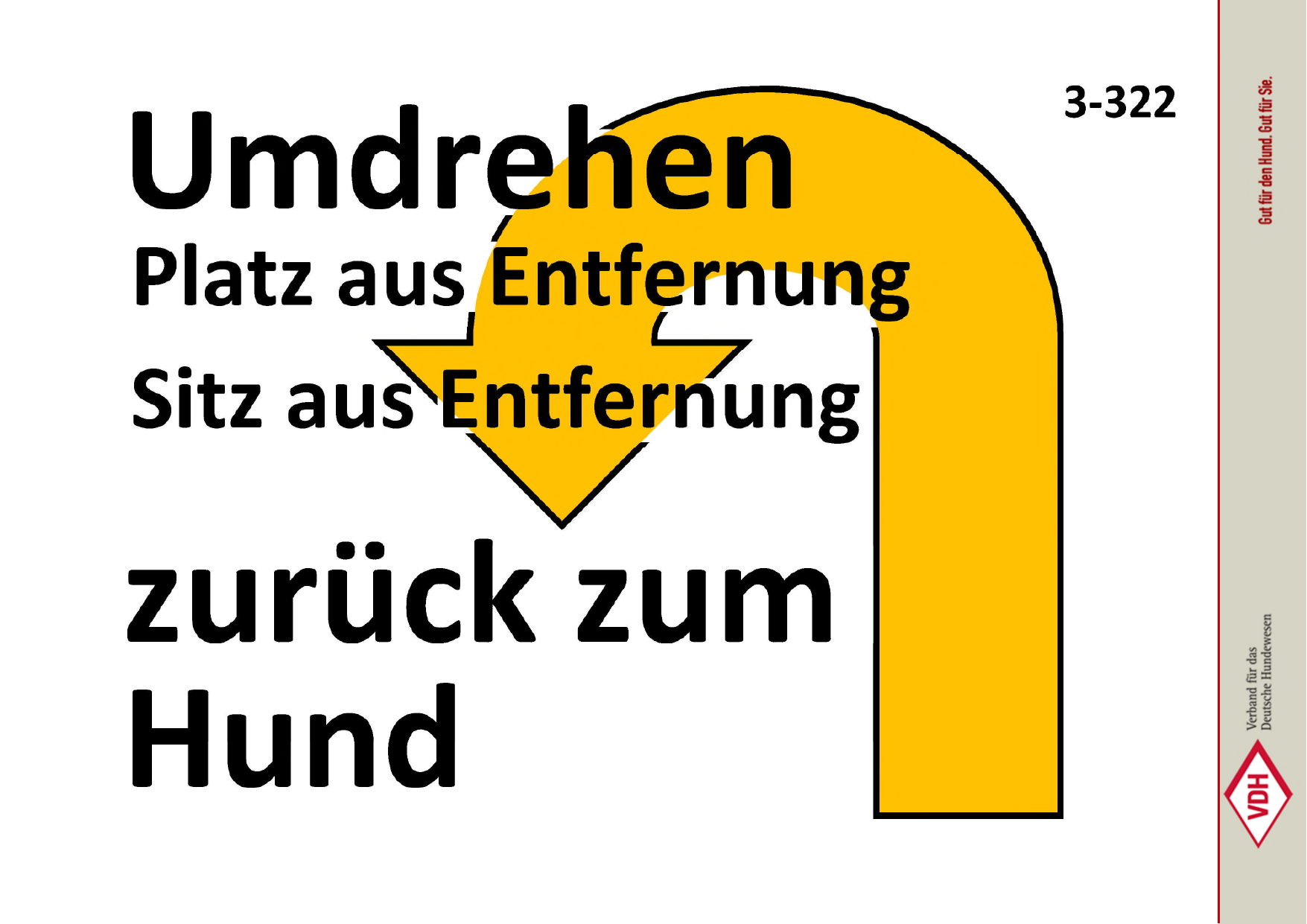 Umdrehen: Platz/Sitz aus Entfernung – zurück zum Hund