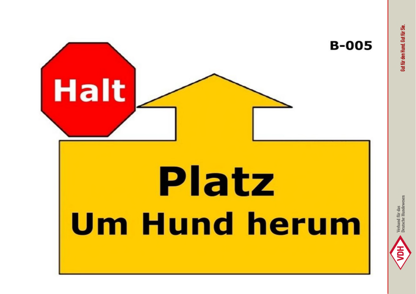 Halt Platz Um Hund herum