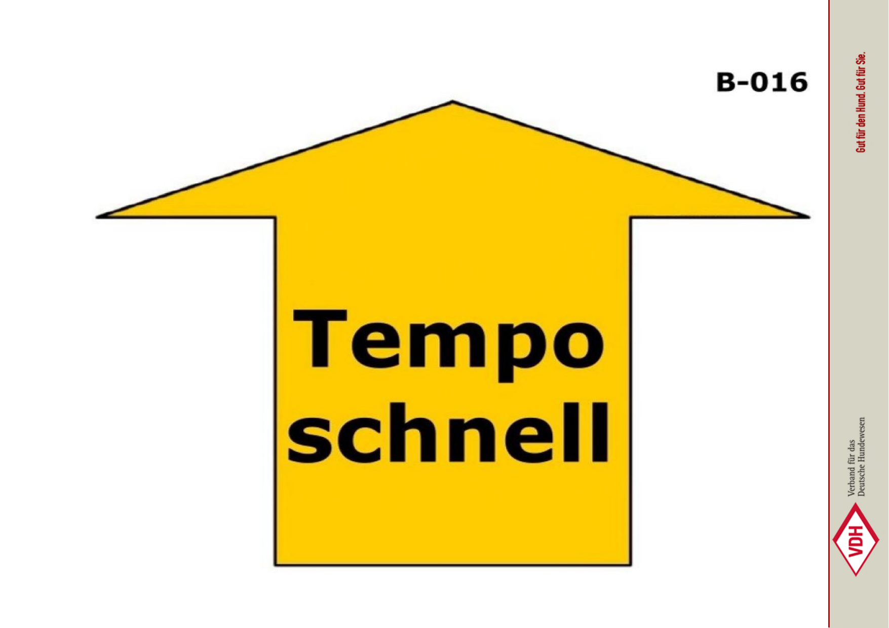 Tempo schnell