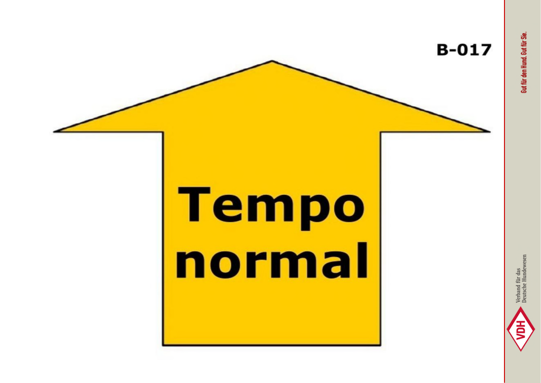 Tempo normal