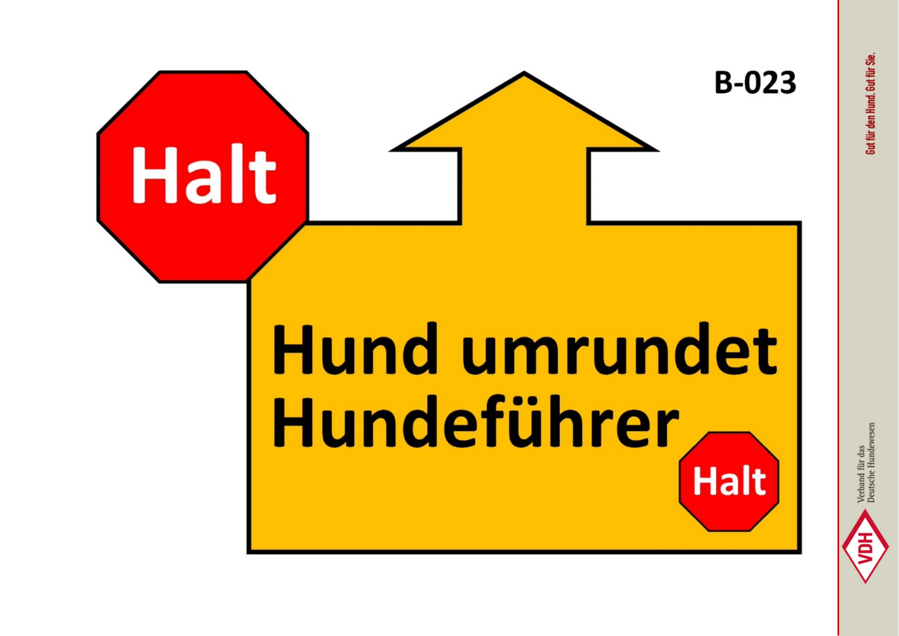 Hund umrundet Hundeführer
